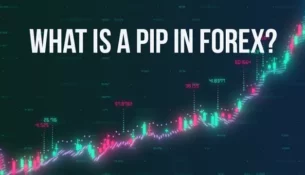 fi